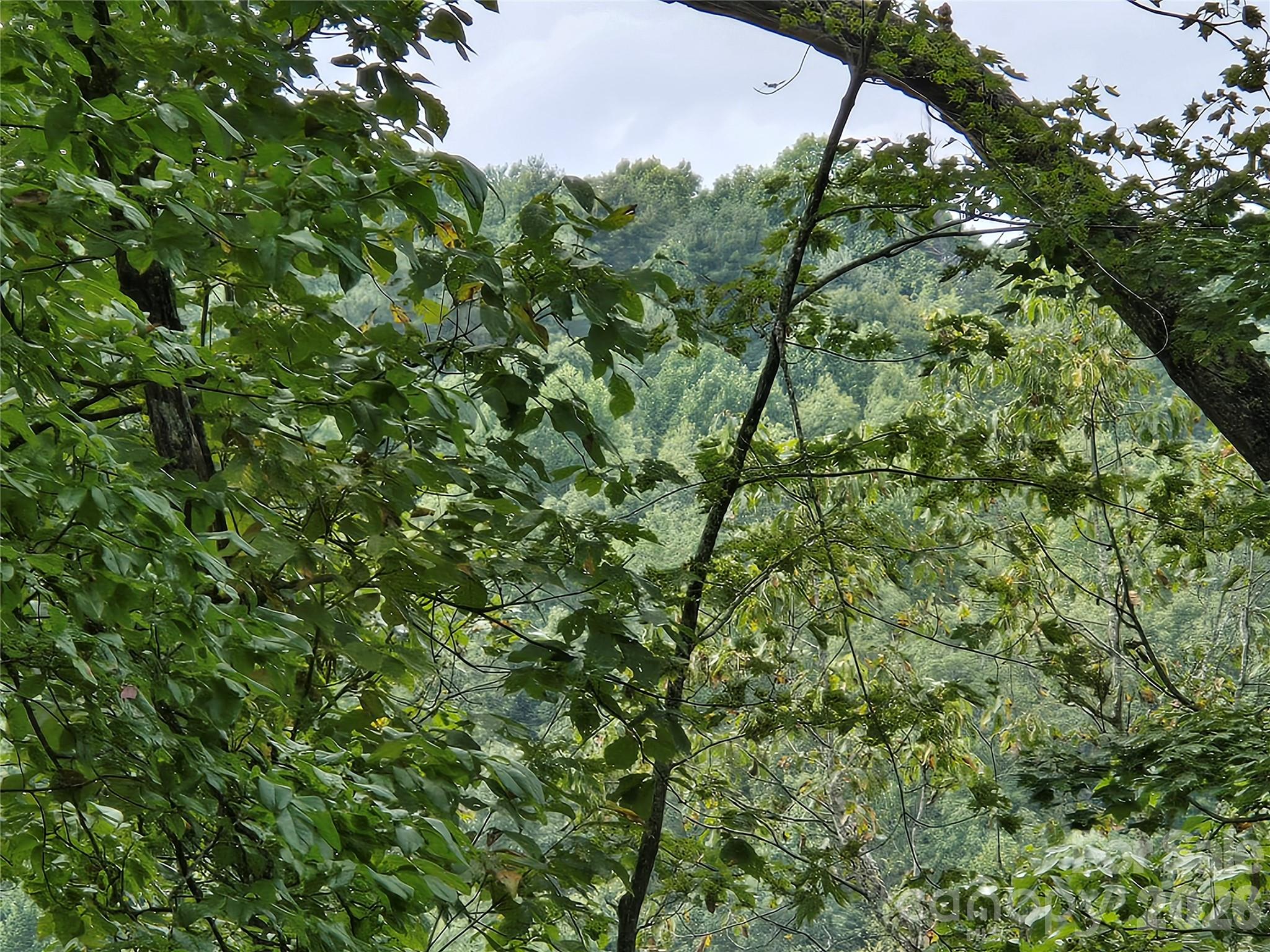 303 Ladd Ridge Property Photo 15