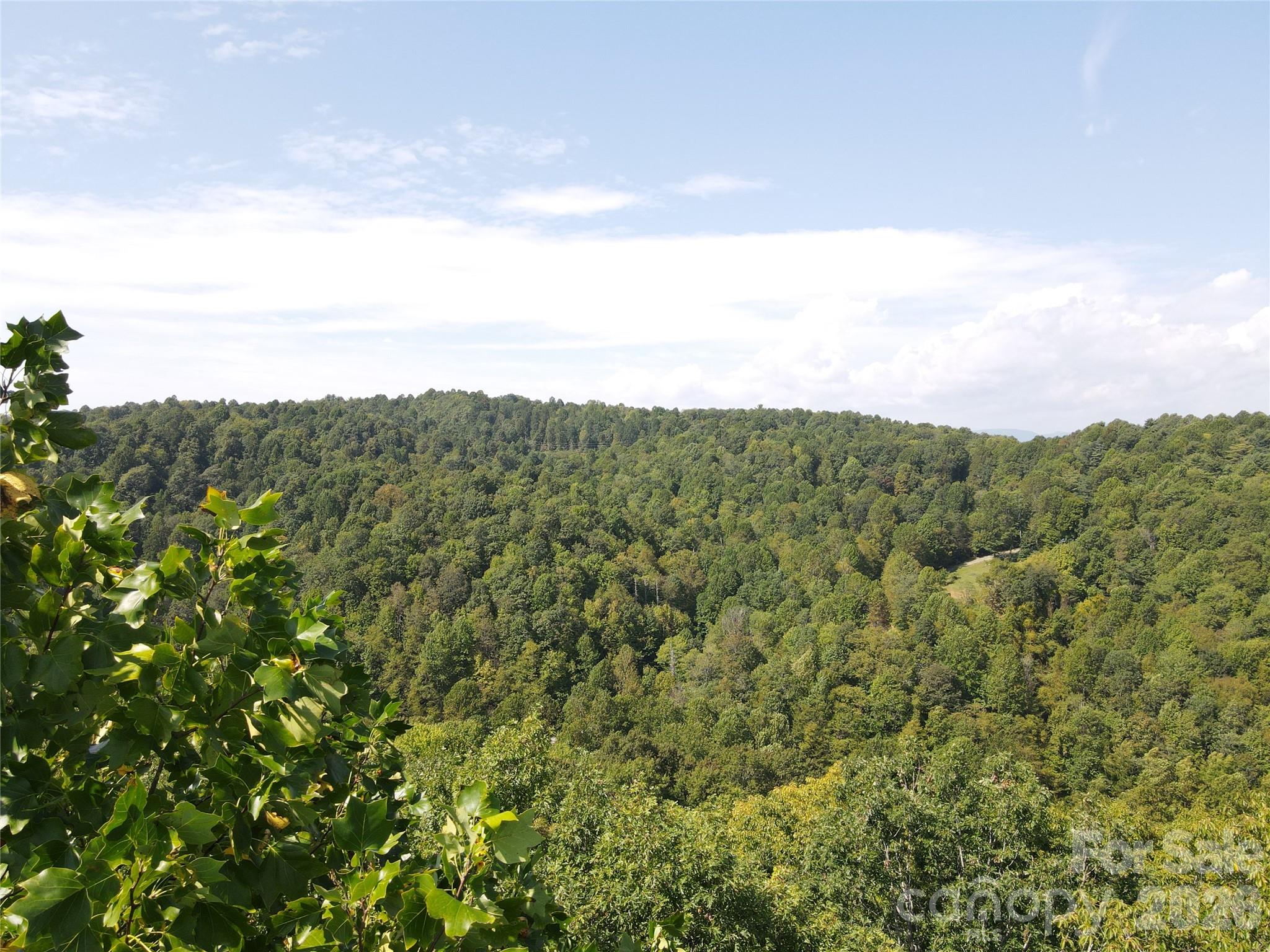 303 Ladd Ridge Property Photo 16