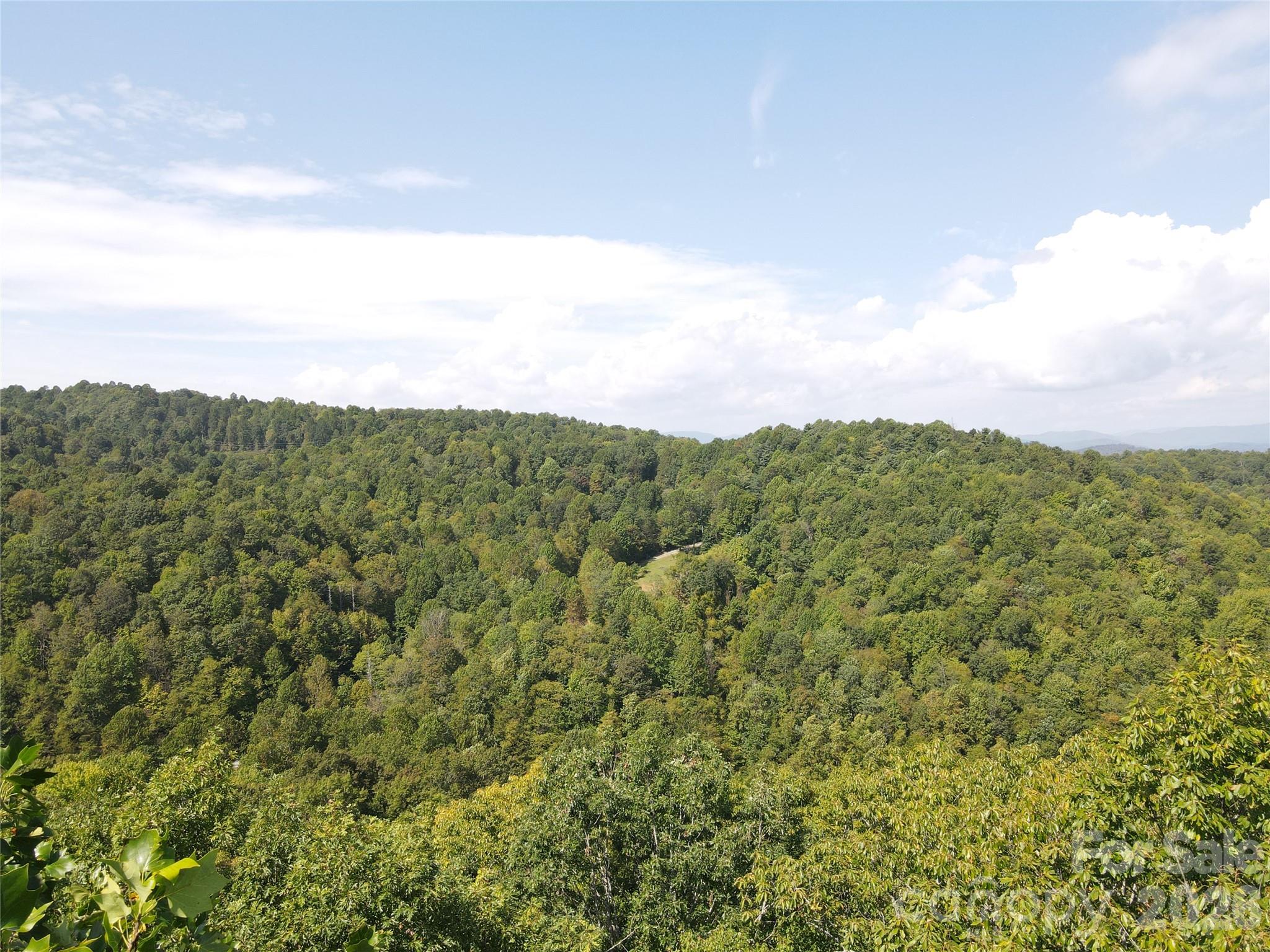 303 Ladd Ridge Property Photo 17