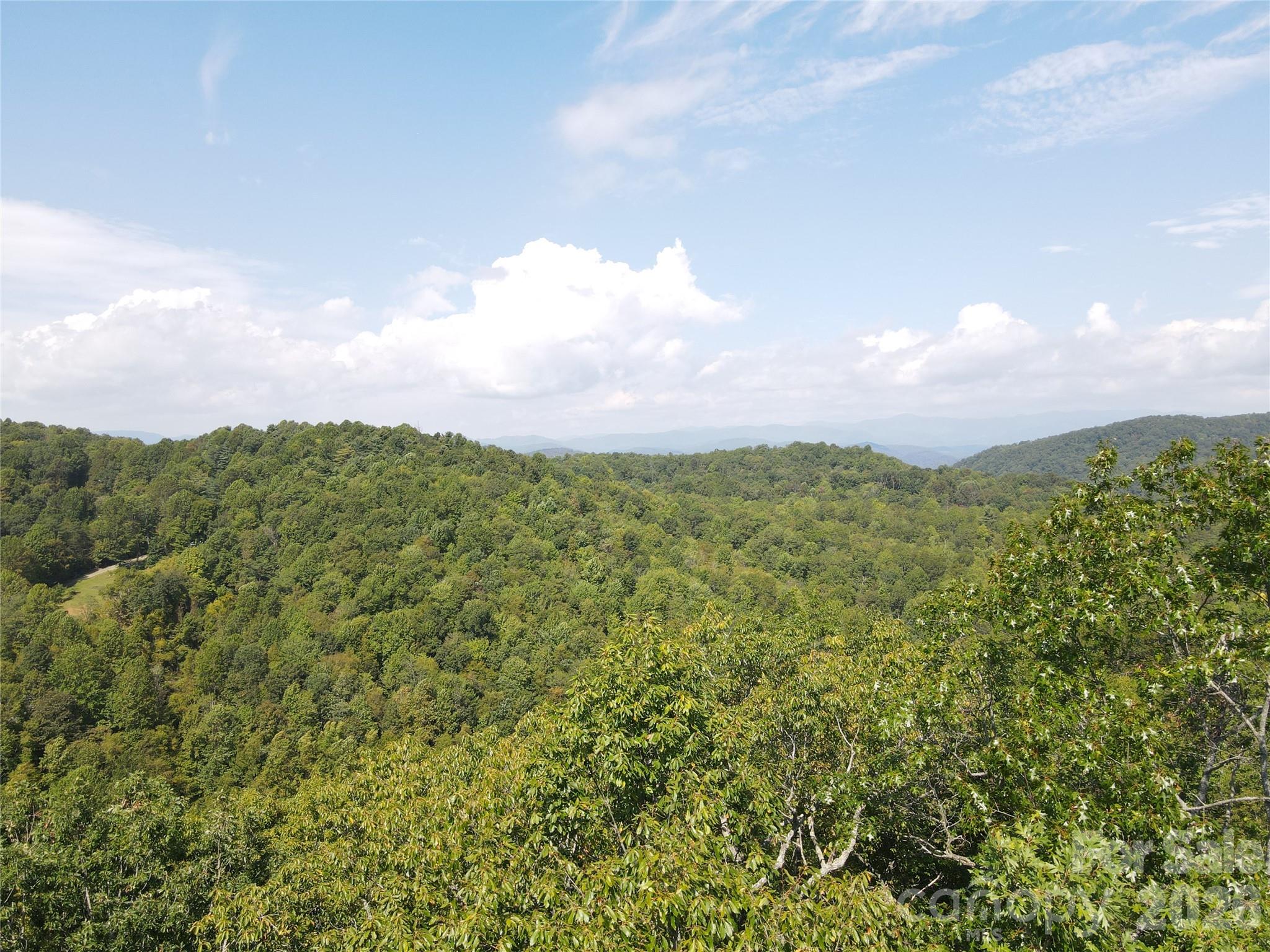 303 Ladd Ridge Property Photo 18
