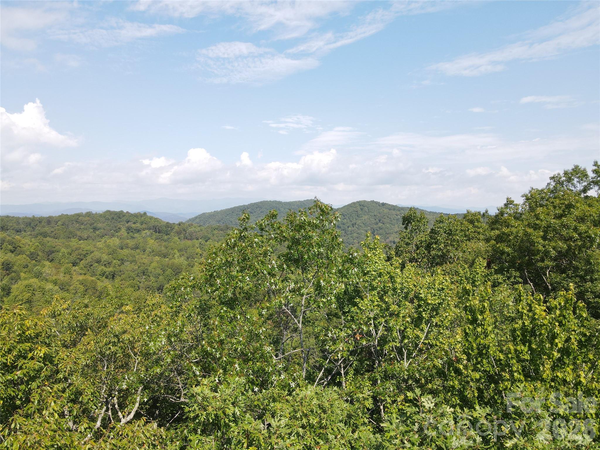 303 Ladd Ridge Property Photo 19