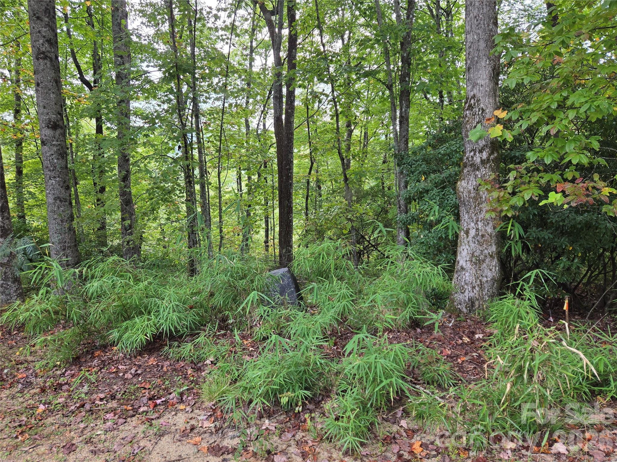 303 Ladd Ridge Property Photo 20