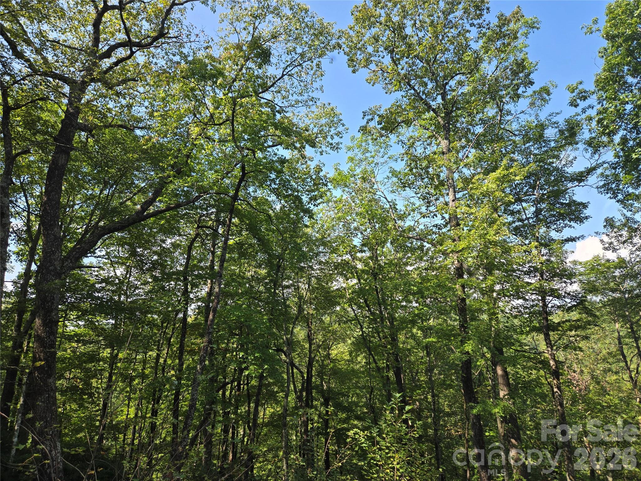 303 Ladd Ridge Property Photo 22
