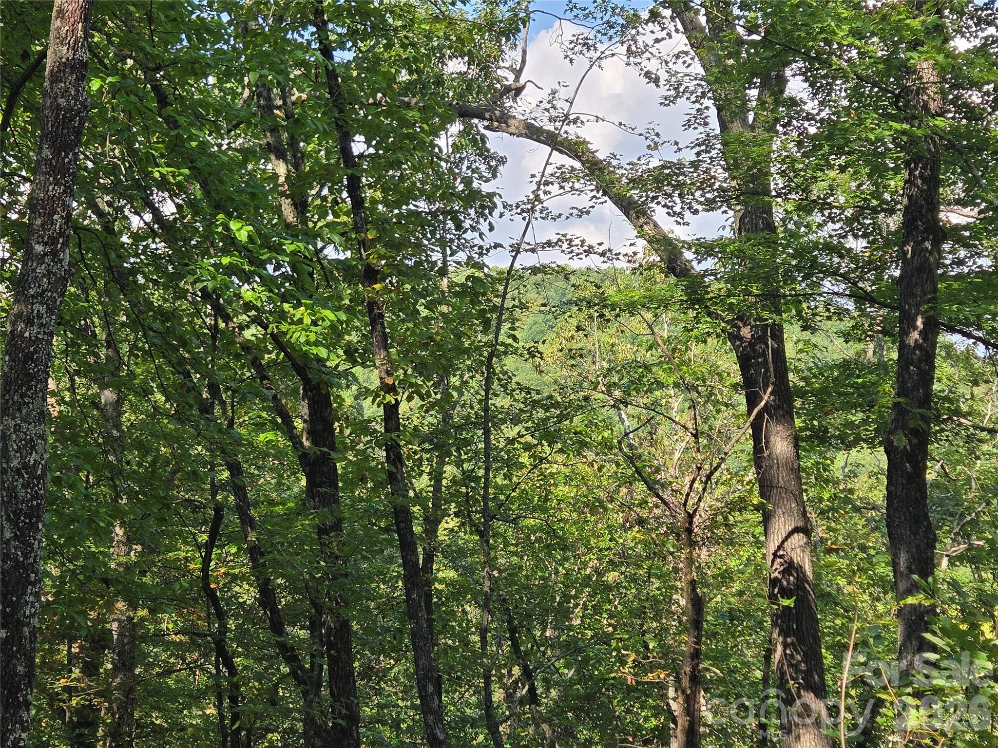 303 Ladd Ridge Property Photo 23