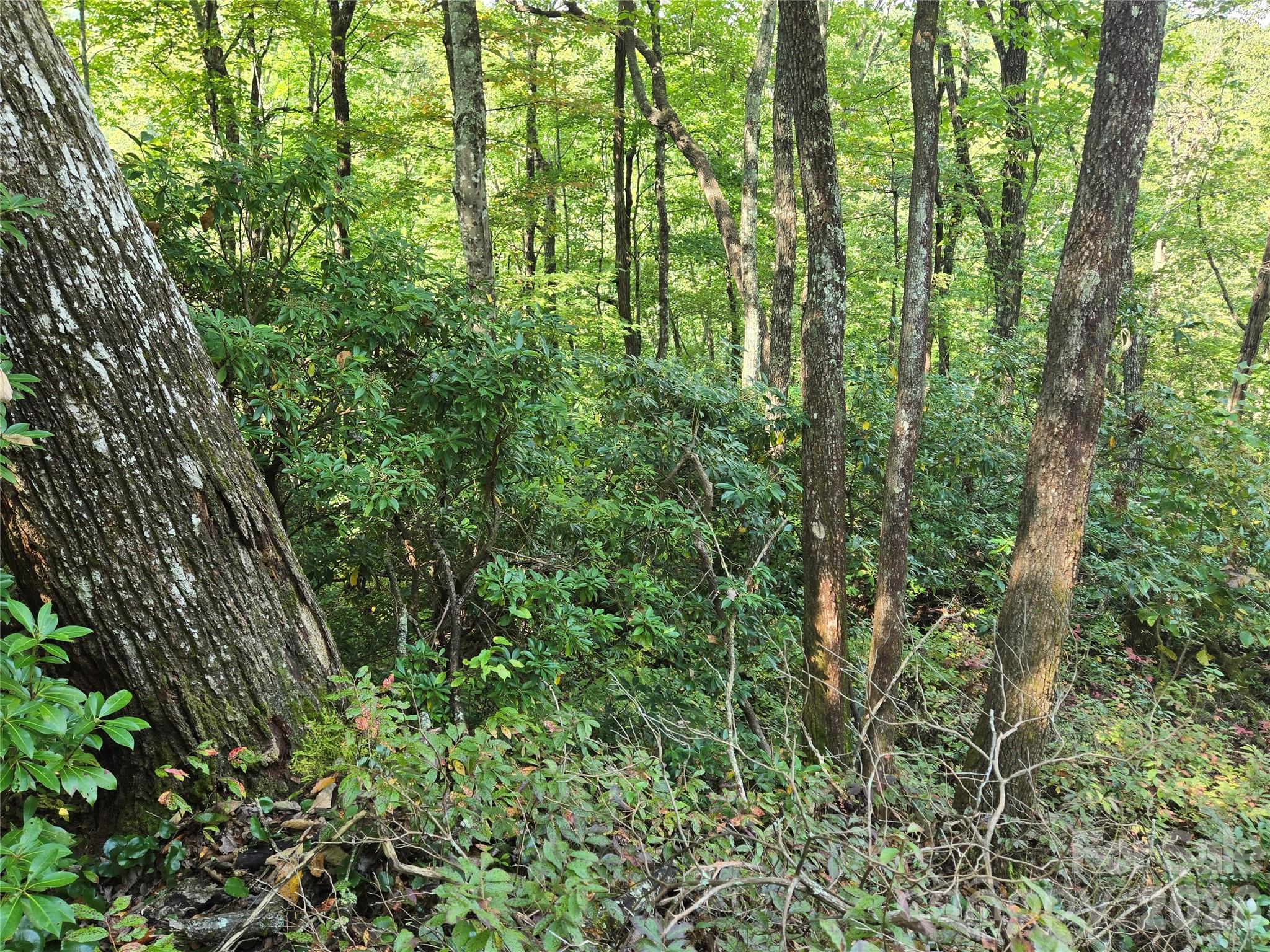 303 Ladd Ridge Property Photo 26
