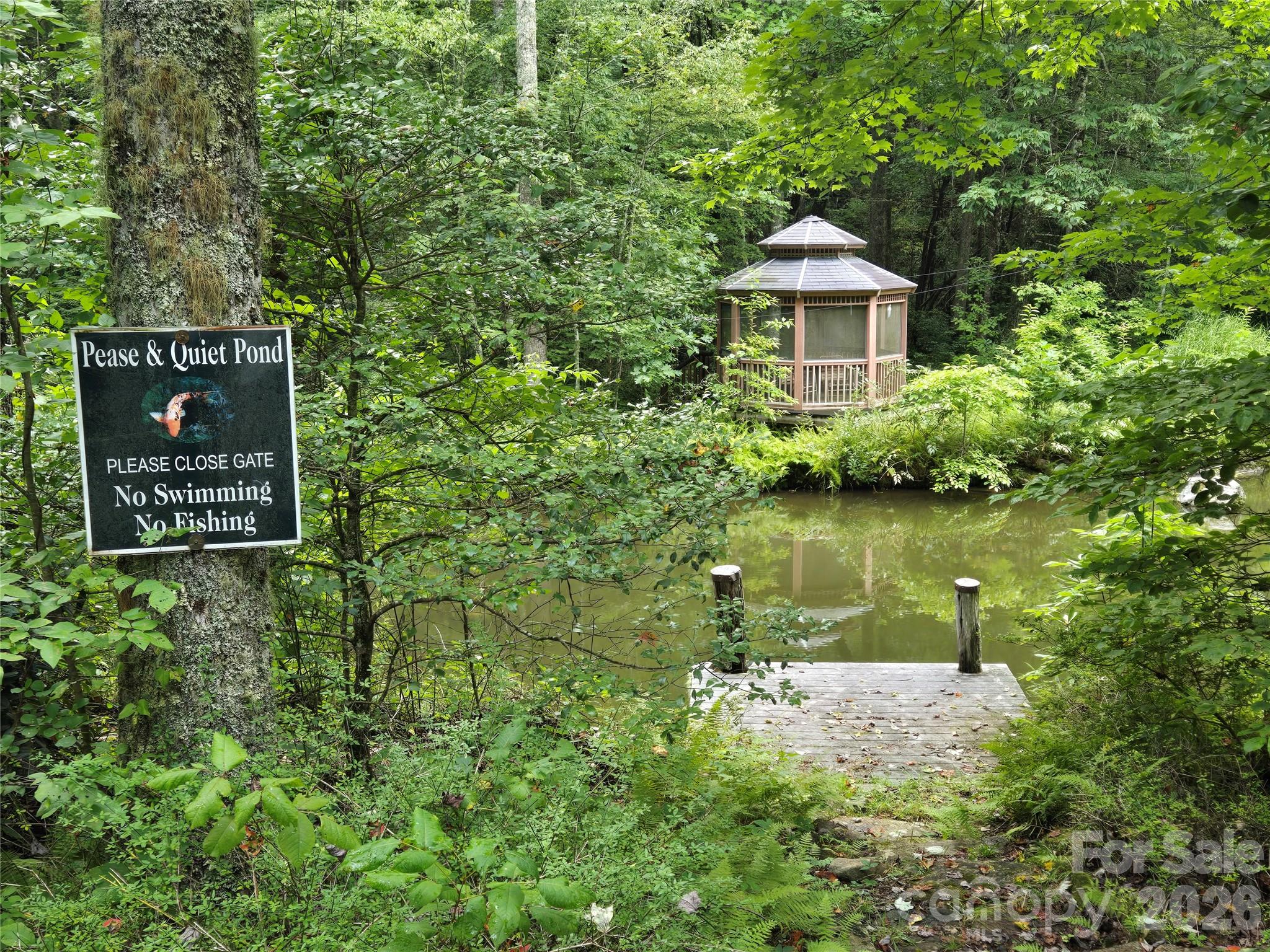 303 Ladd Ridge Property Photo 29