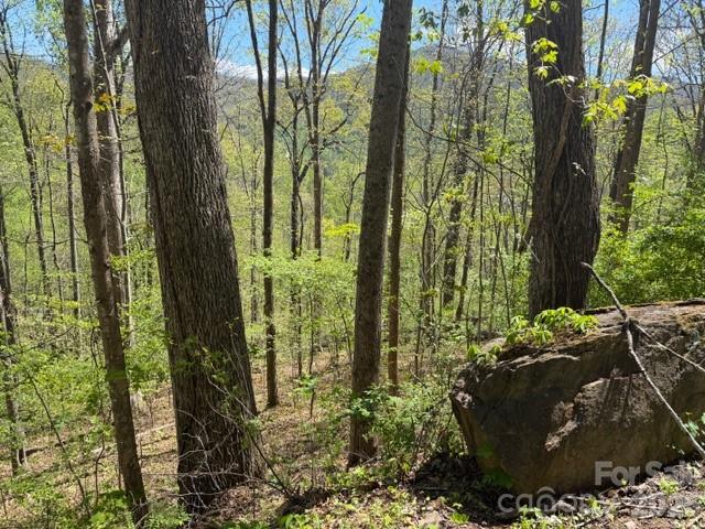 0000 Greenview Drive Property Photo 5