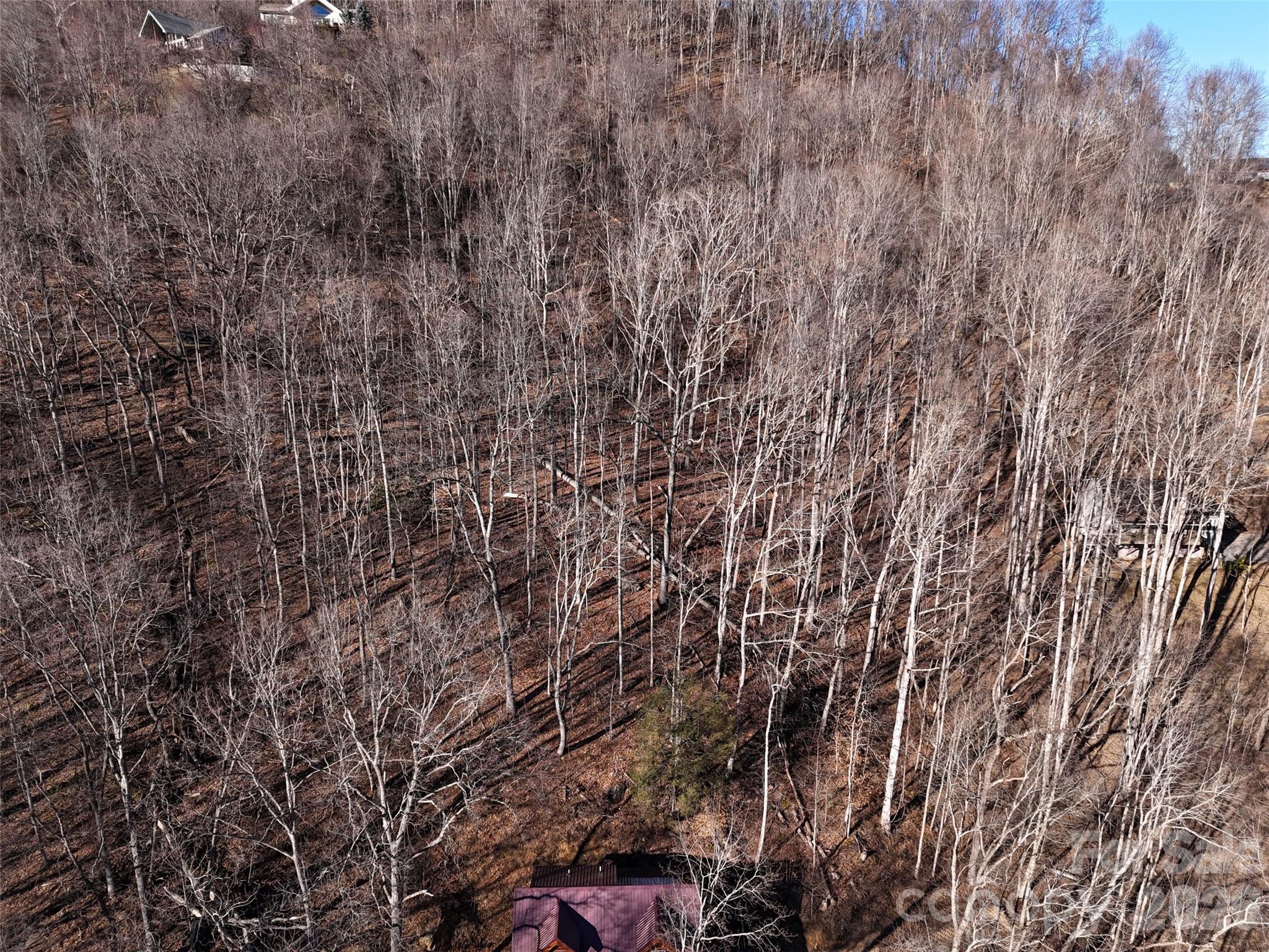 0000 Greenview Drive Property Photo 8
