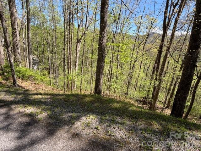 0000 Greenview Drive Property Photo 10