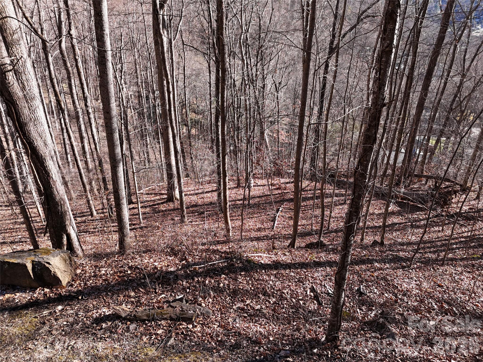 0000 Greenview Drive Property Photo 11