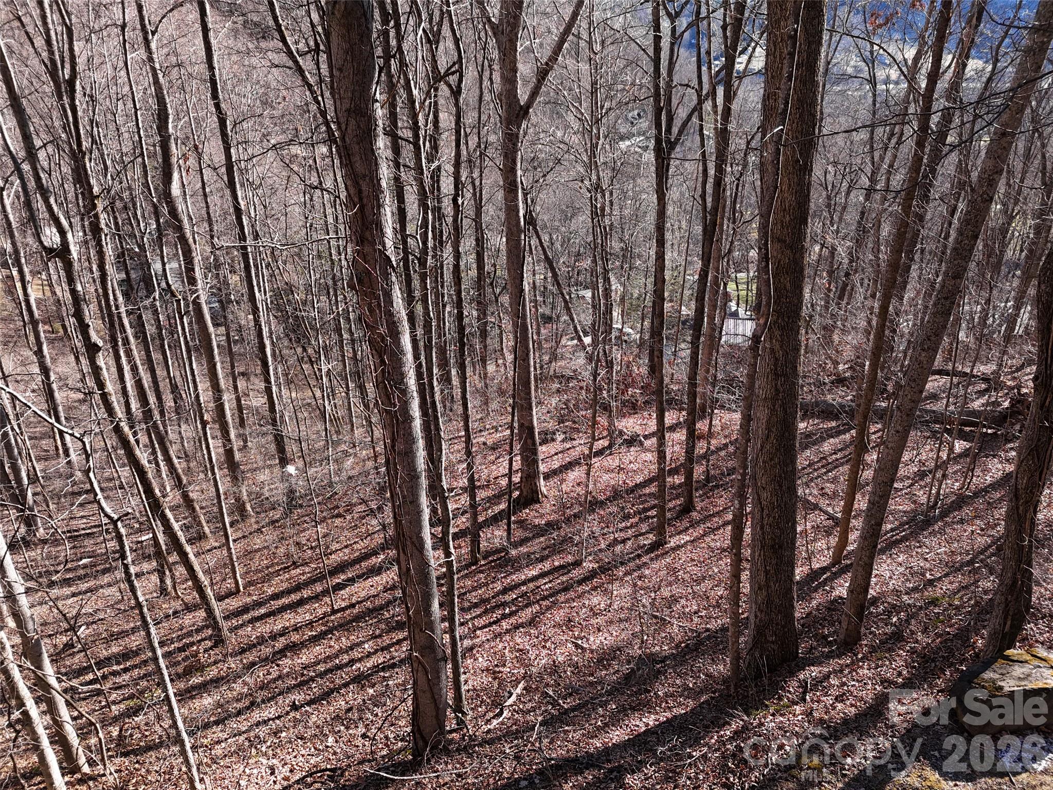 0000 Greenview Drive Property Photo 14