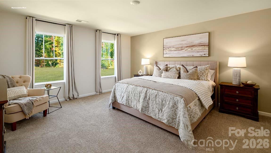 602 Dazzle Loop Property Photo 12