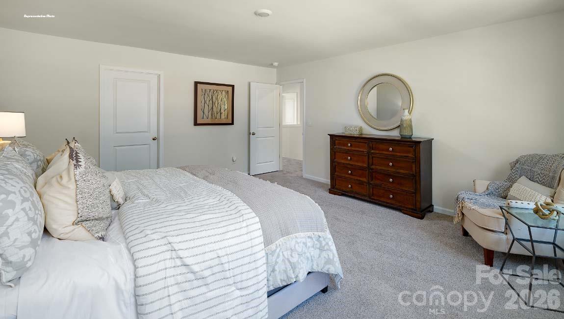 602 Dazzle Loop Property Photo 13