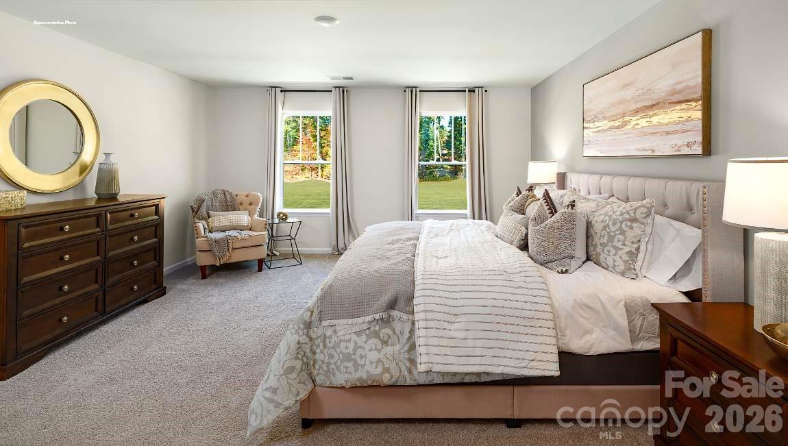602 Dazzle Loop Property Photo 14