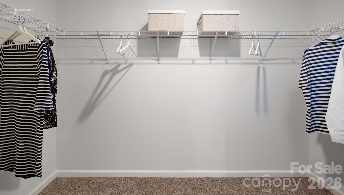 602 Dazzle Loop Property Photo 15