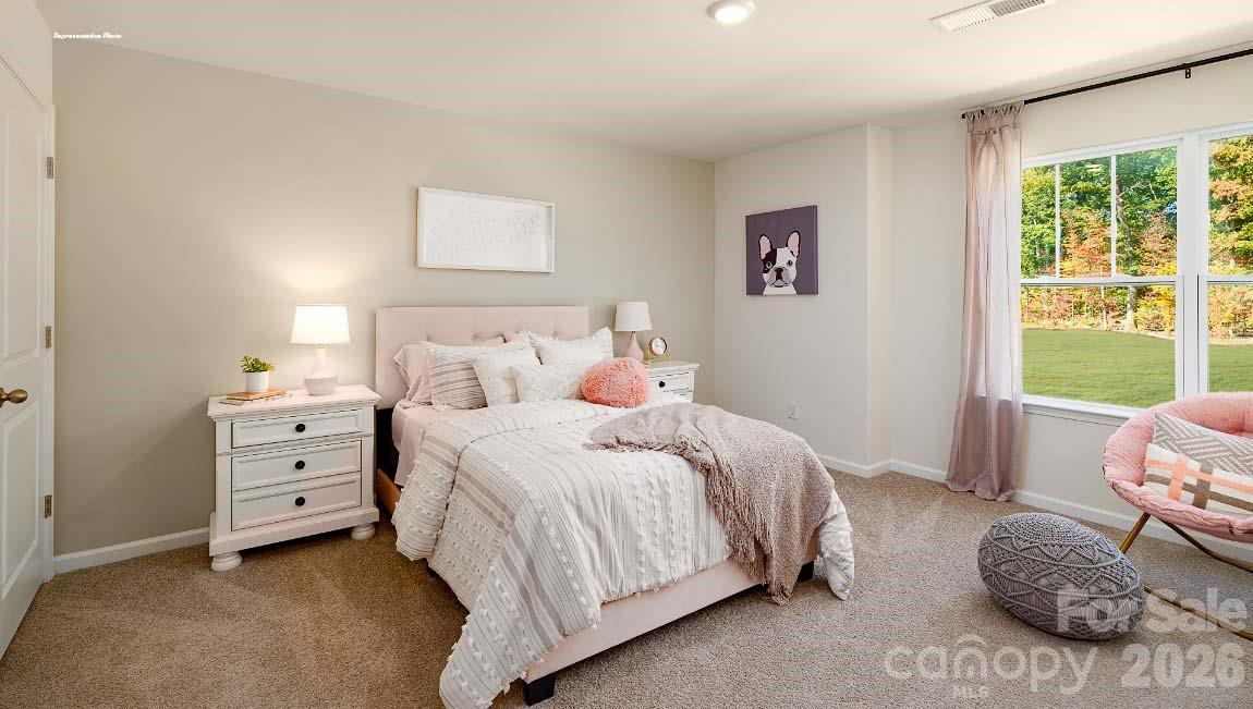 602 Dazzle Loop Property Photo 19