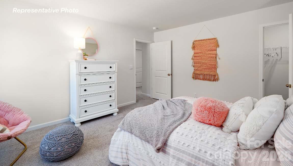 602 Dazzle Loop Property Photo 20