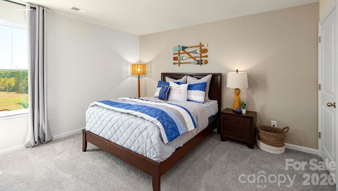 602 Dazzle Loop Property Photo 21