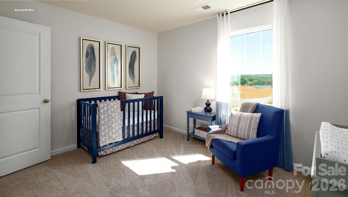 602 Dazzle Loop Property Photo 23