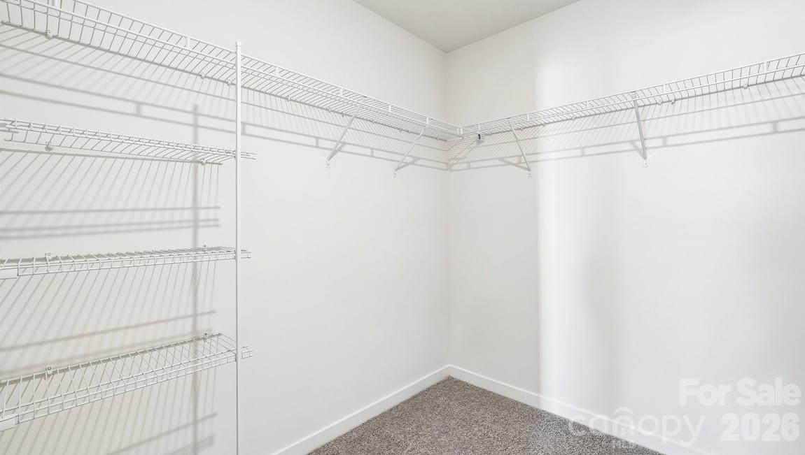 602 Dazzle Loop Property Photo 24