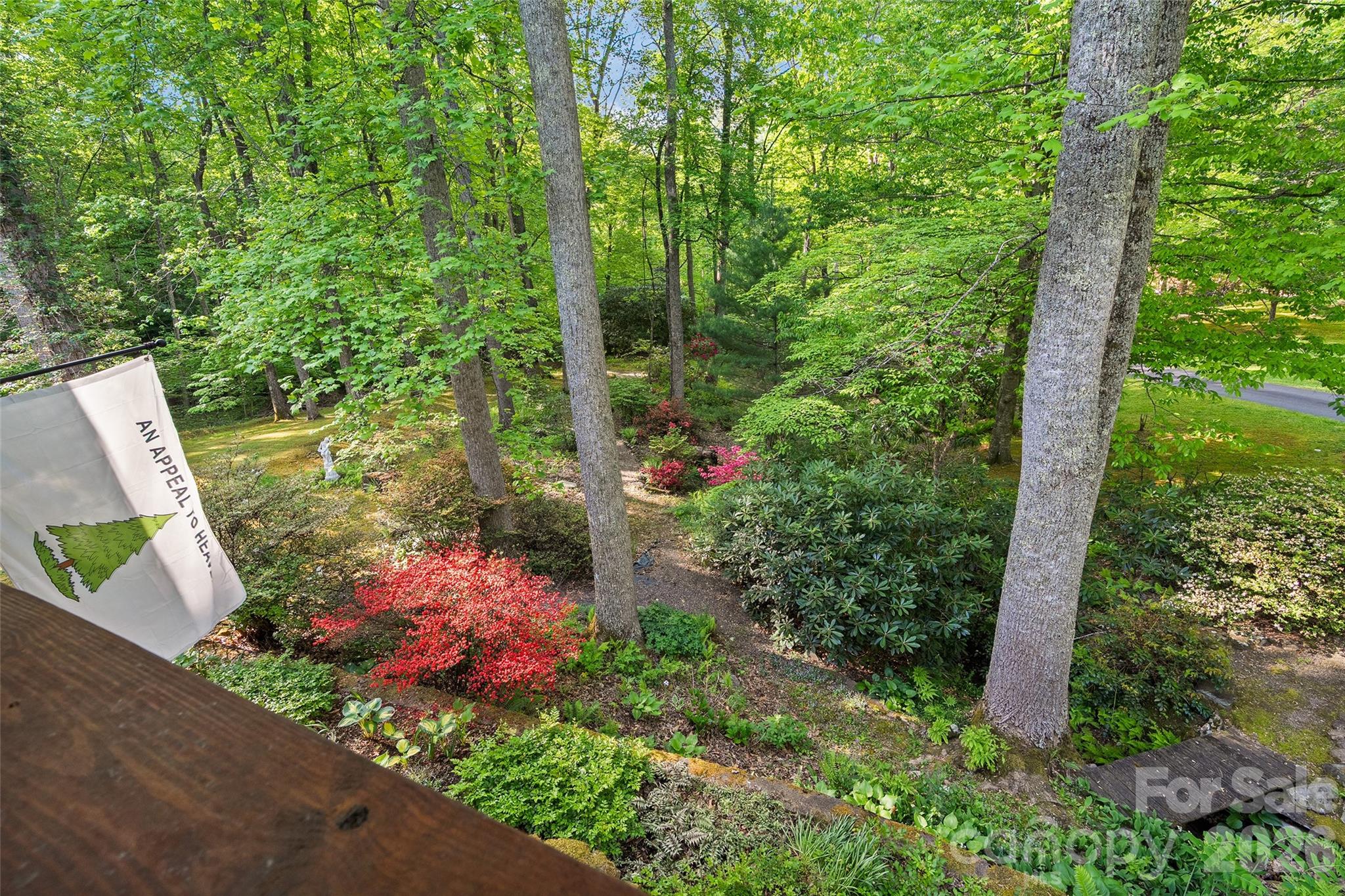 134 The Trail Property Photo 35
