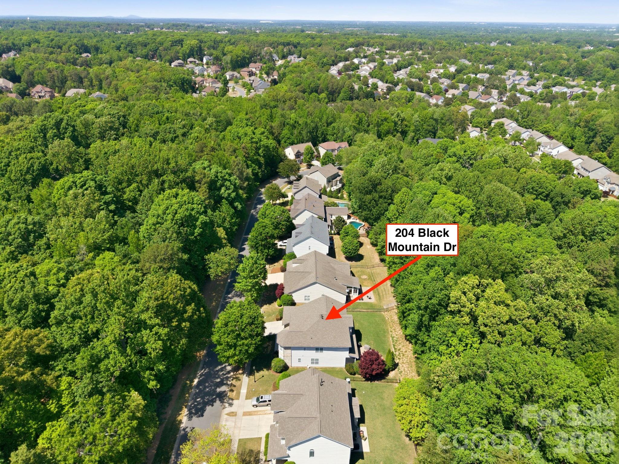 204 Black Mountain Drive Property Photo 2
