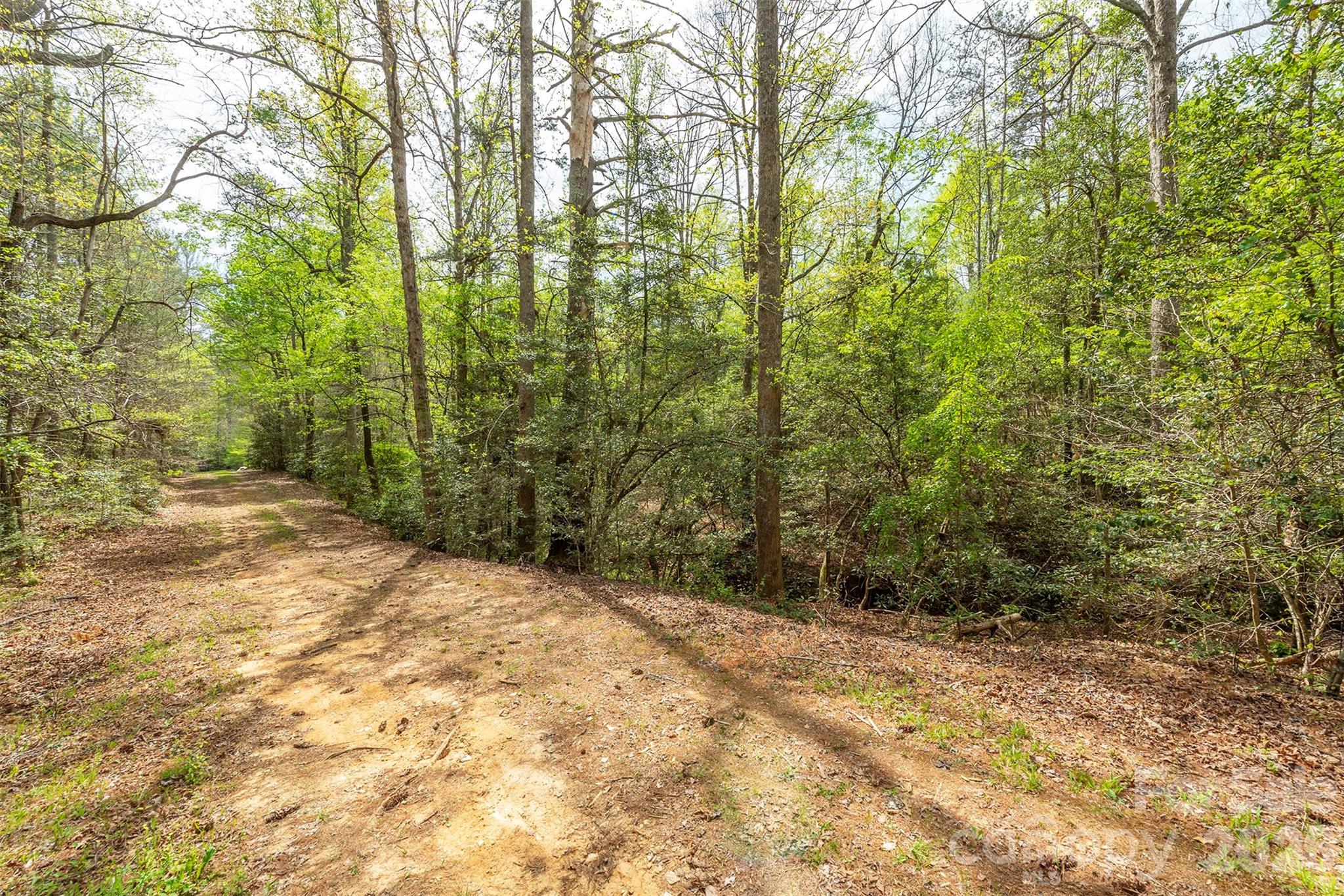 Tbd Henderson Mill Road Property Photo 3