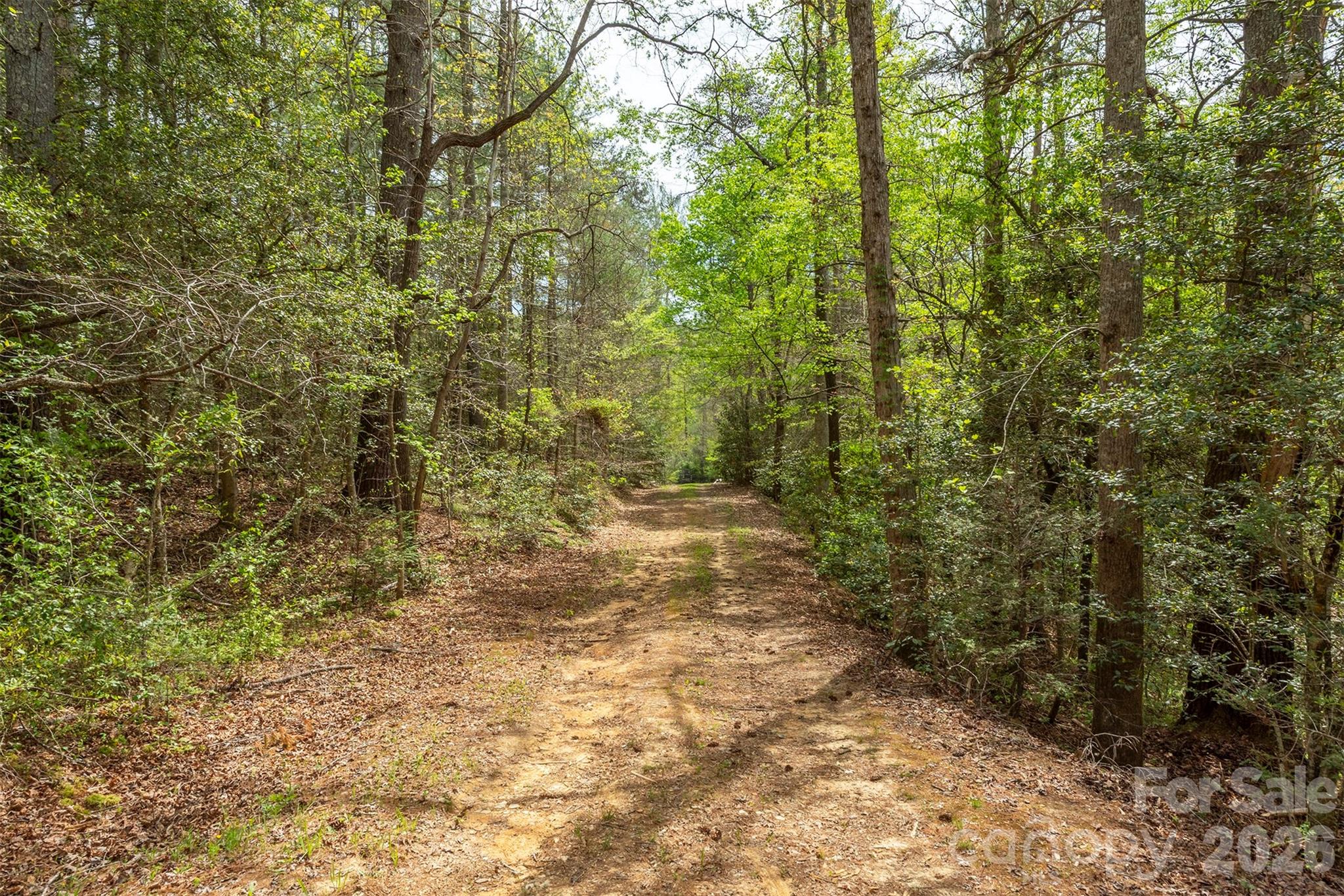 Tbd Henderson Mill Road Property Photo 6