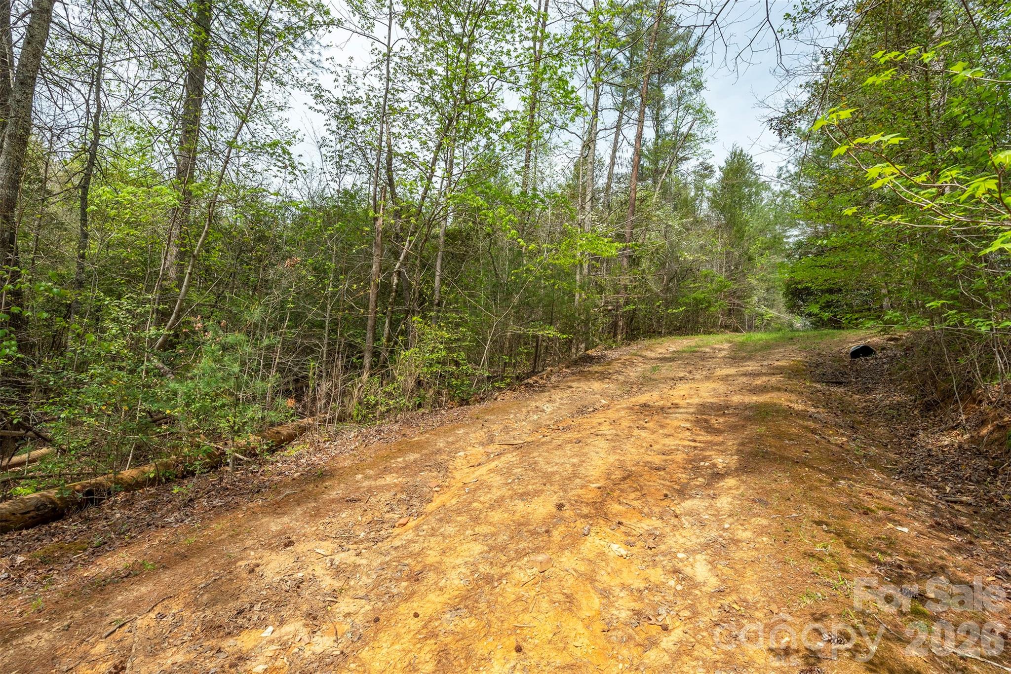 Tbd Henderson Mill Road Property Photo 7