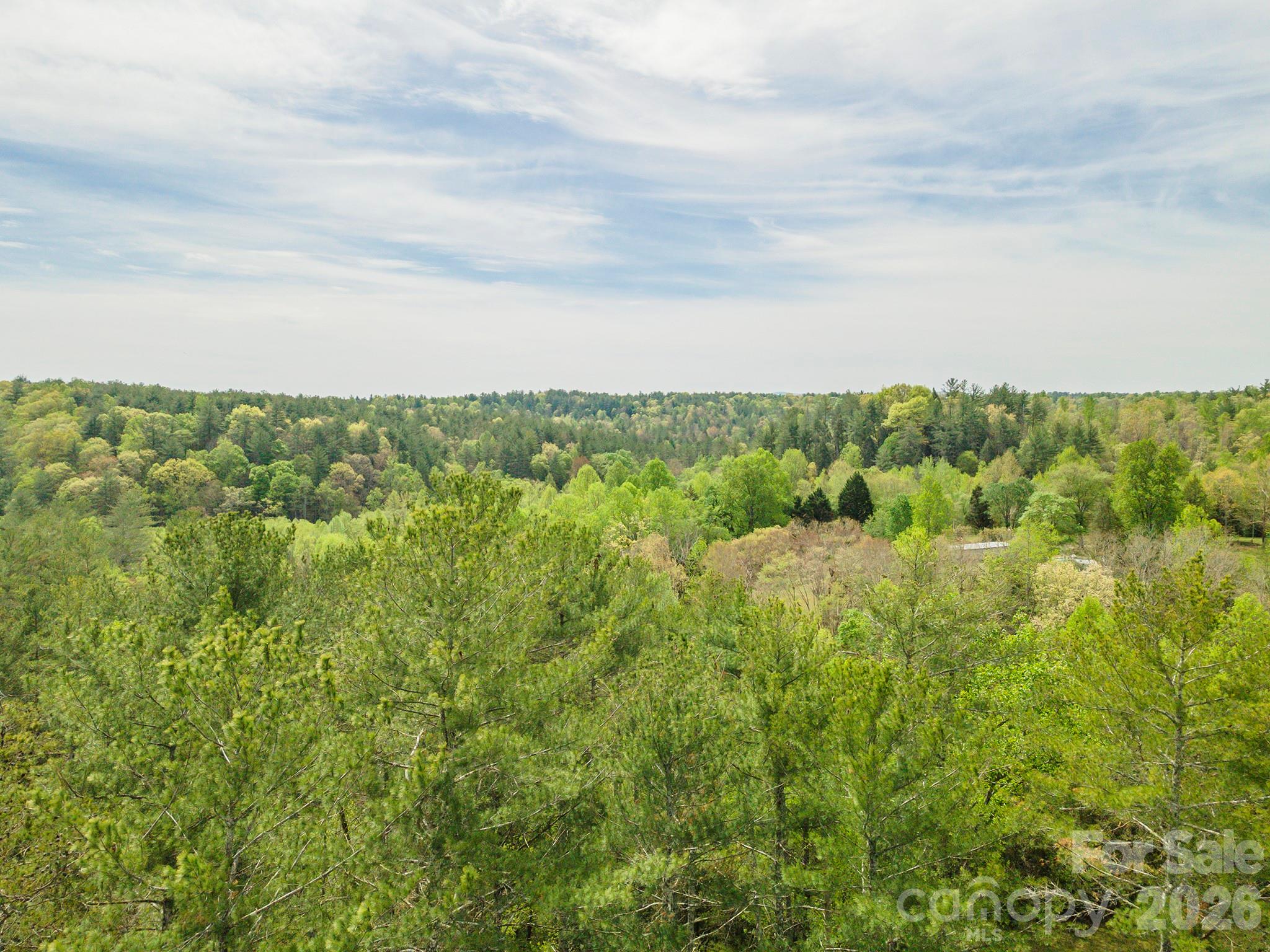Tbd Henderson Mill Road Property Photo 26