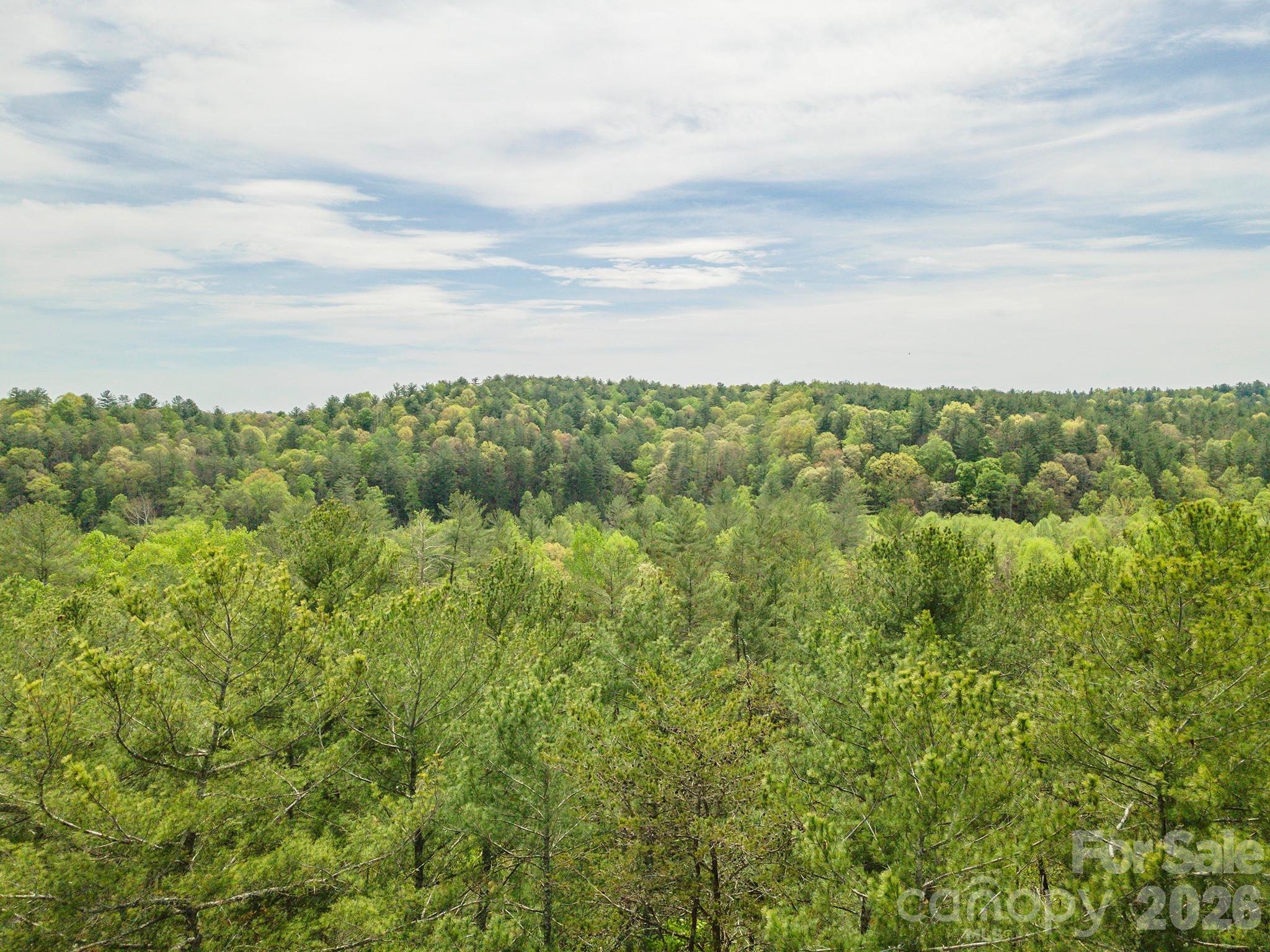 Tbd Henderson Mill Road Property Photo 32