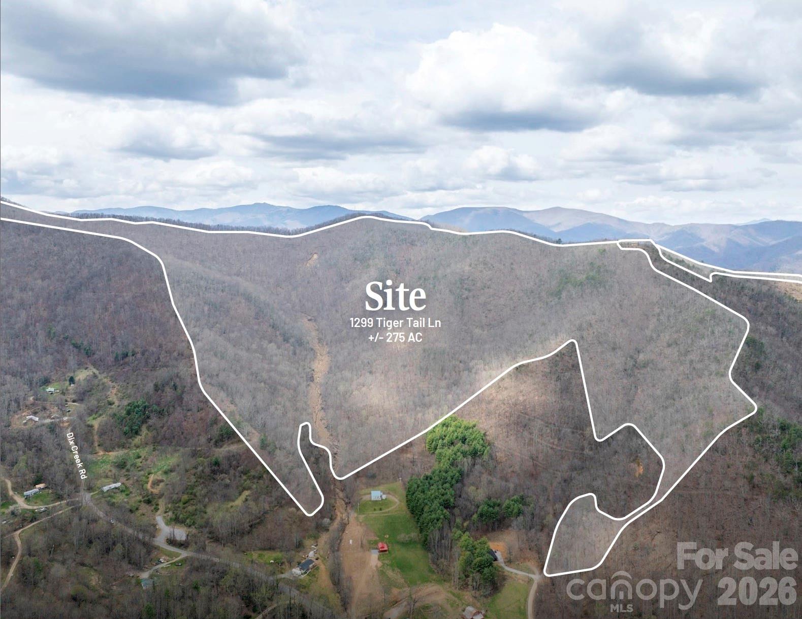 1299 Tiger Tail Lane Property Photo 1