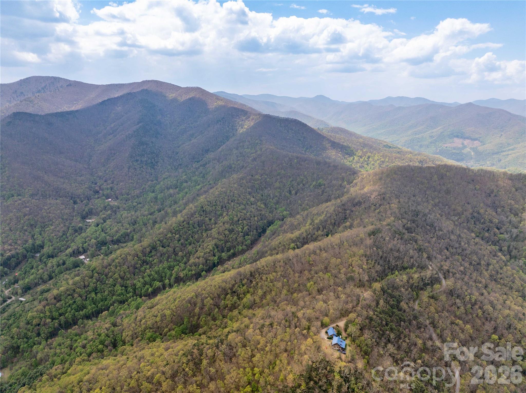 1299 Tiger Tail Lane Property Photo 4