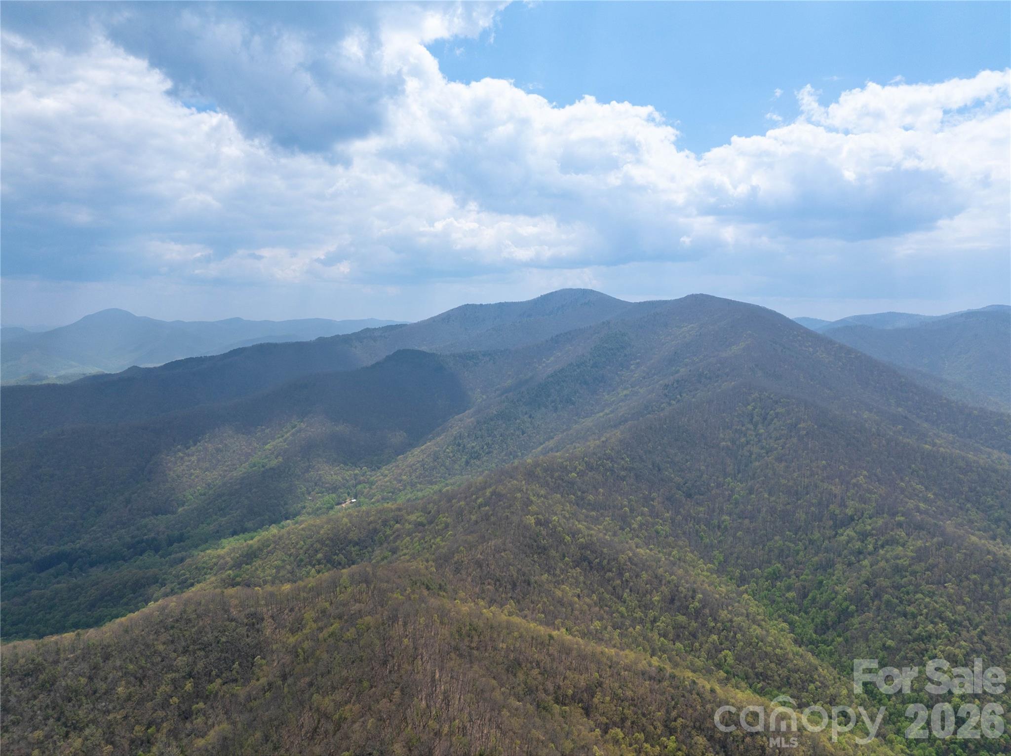1299 Tiger Tail Lane Property Photo 5