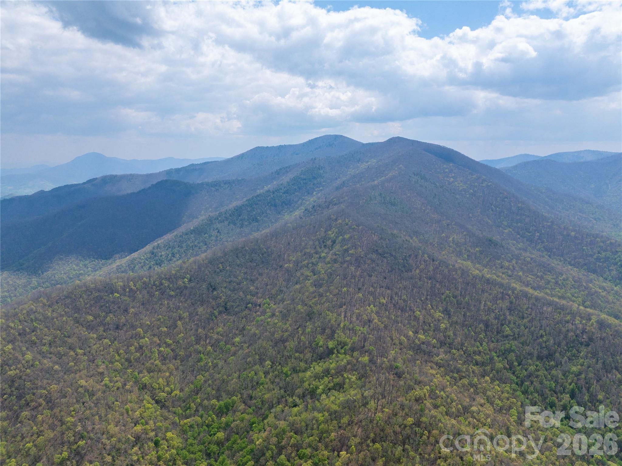 1299 Tiger Tail Lane Property Photo 6