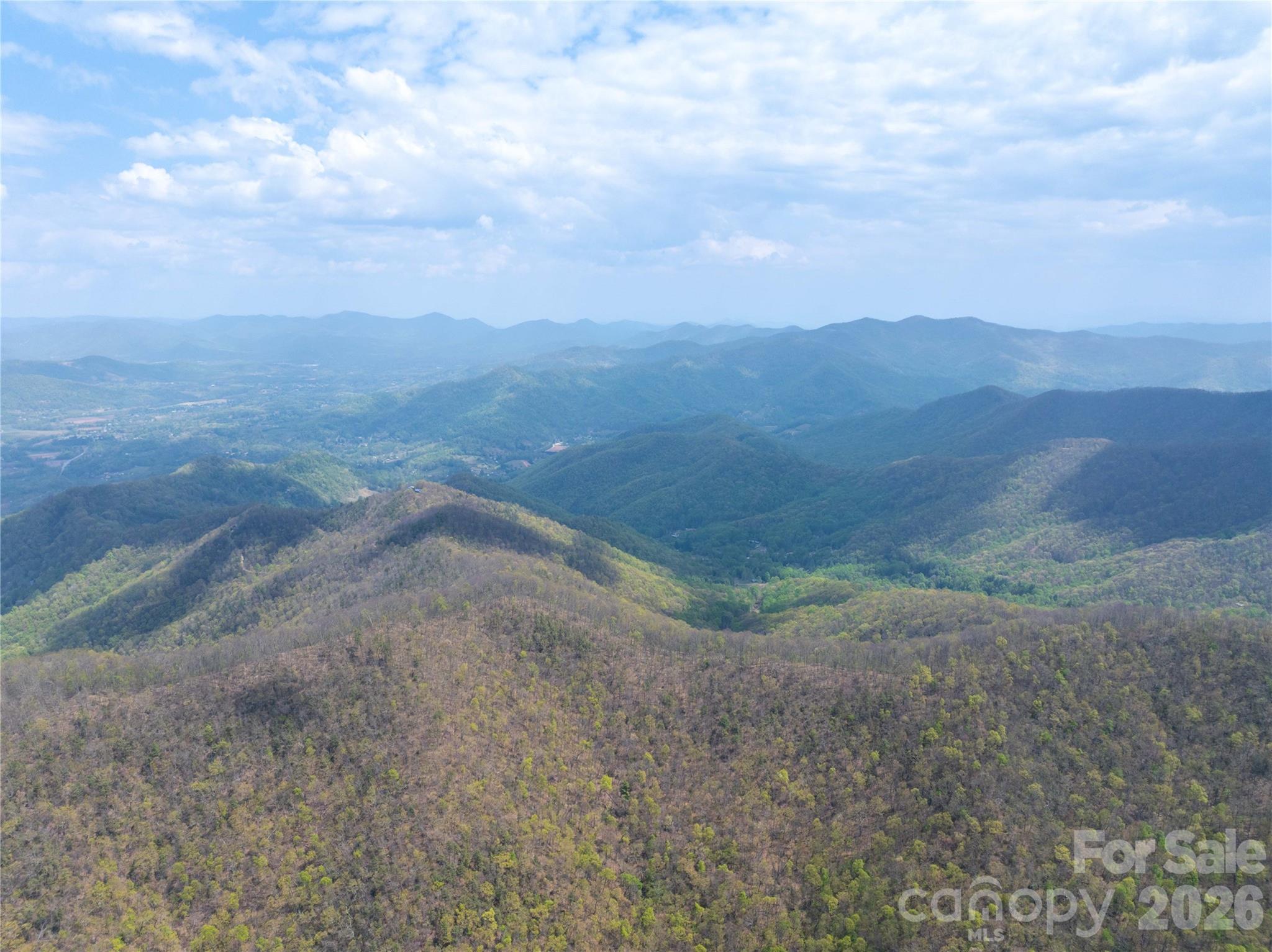 1299 Tiger Tail Lane Property Photo 8