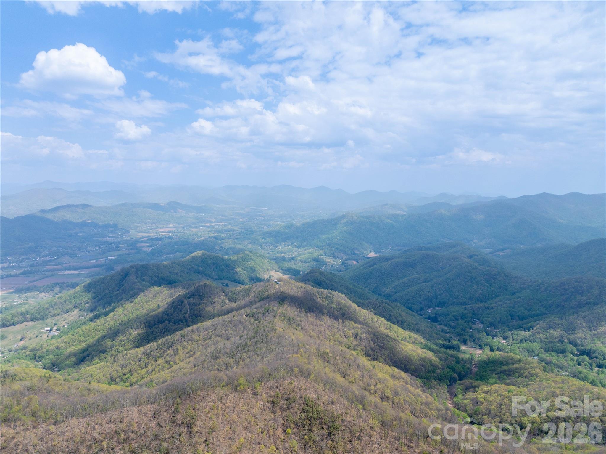 1299 Tiger Tail Lane Property Photo 9