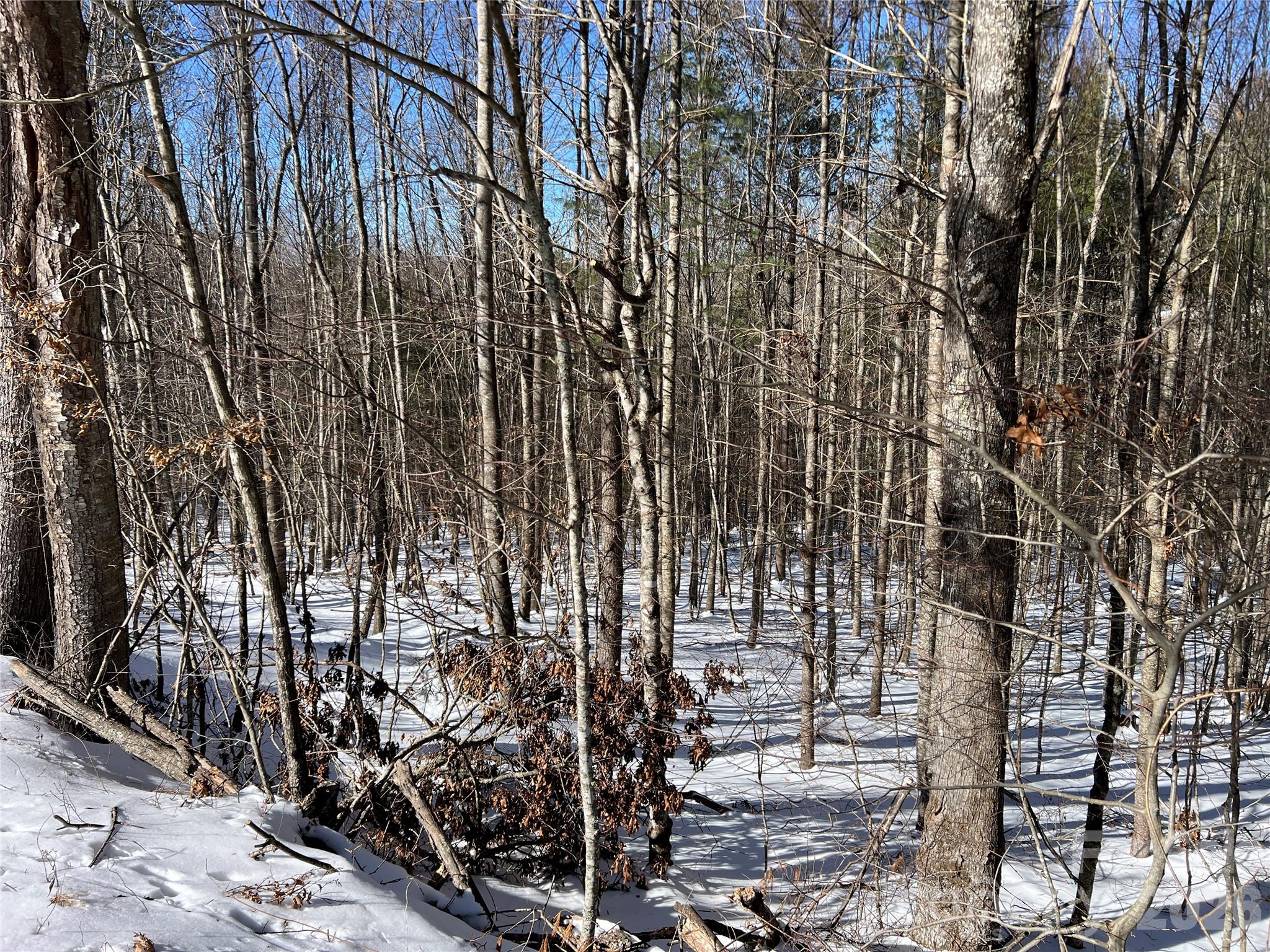 Tbd (lots 13 & 14) Timberwilde Drive Property Photo 16