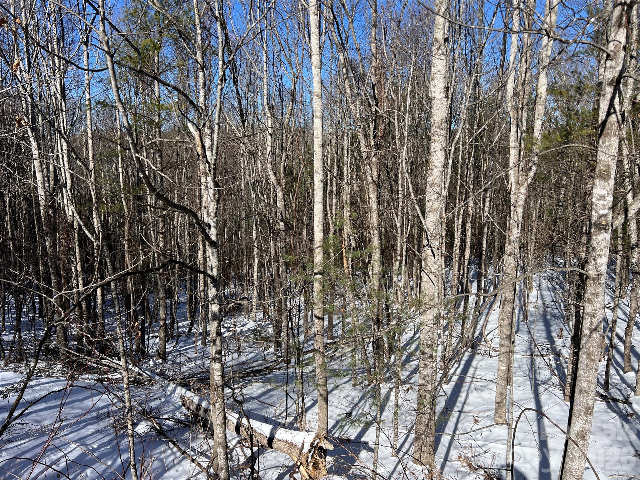 Tbd (lots 13 & 14) Timberwilde Drive Property Photo 19