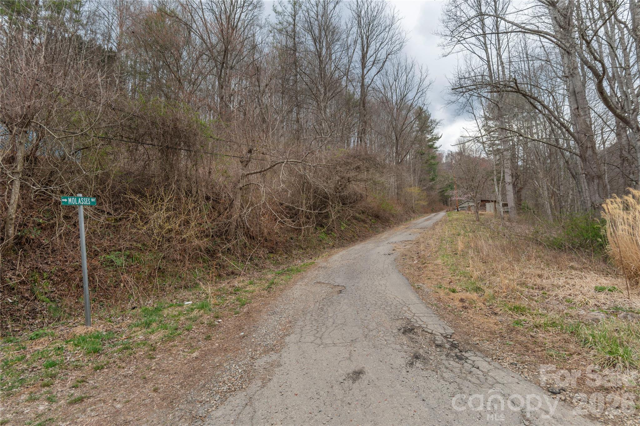 99999 Molasses Way Property Photo 5