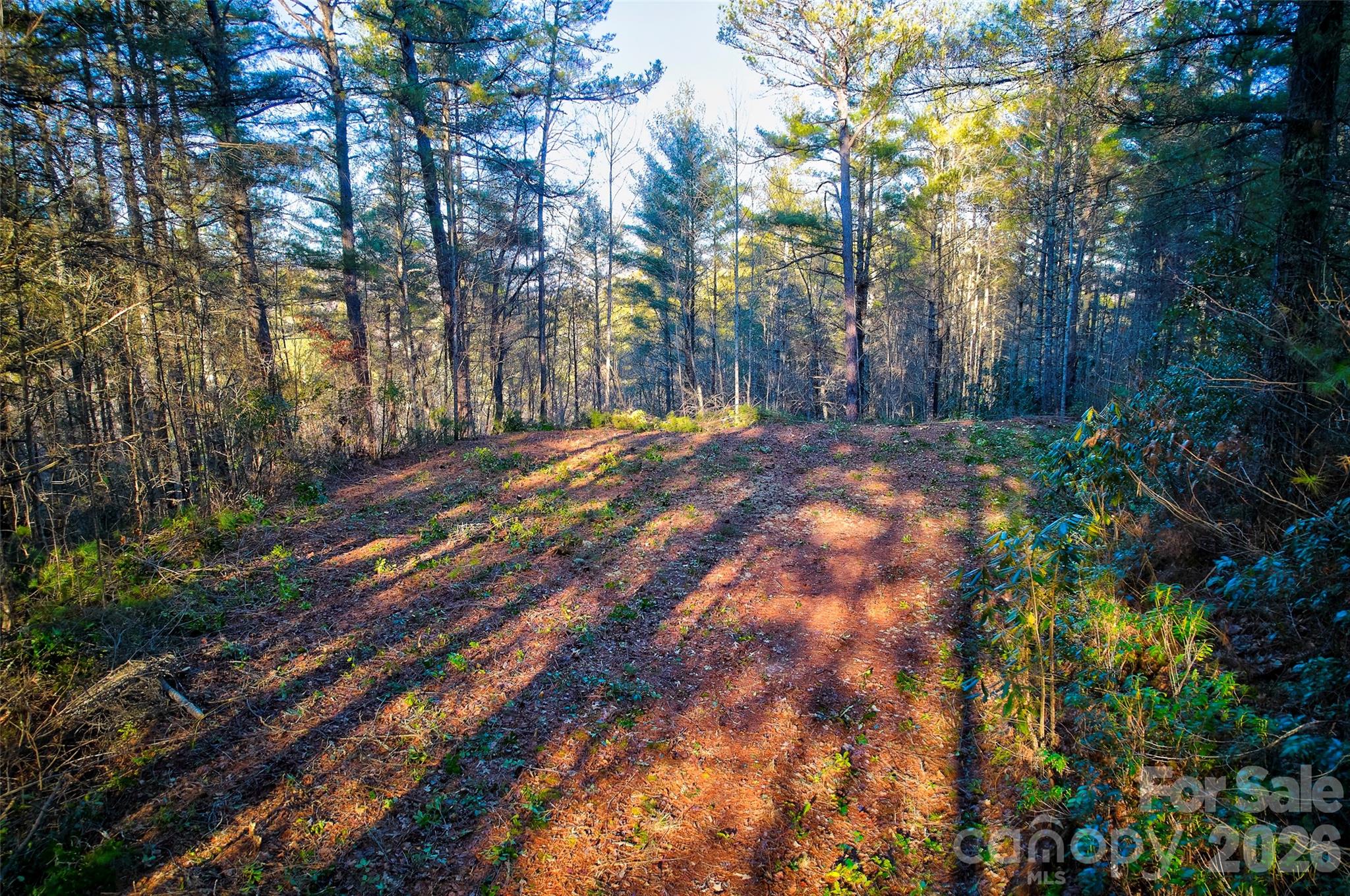 00 Piney Cove Road Property Photo 2