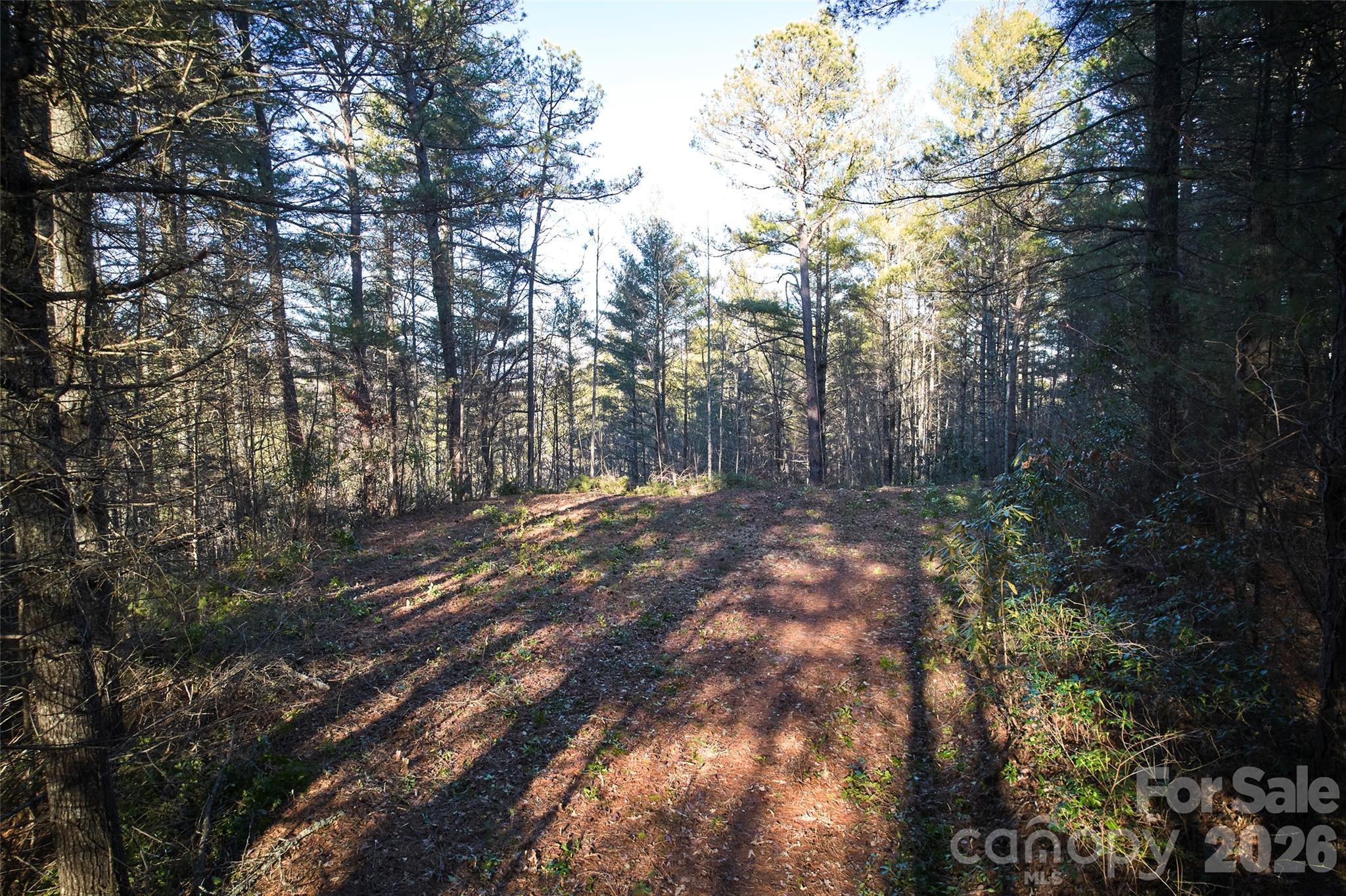 00 Piney Cove Road Property Photo 3