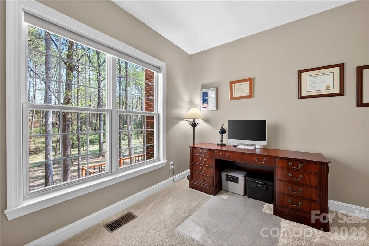 12532 Overlook Mountain Drive Property Photo 20