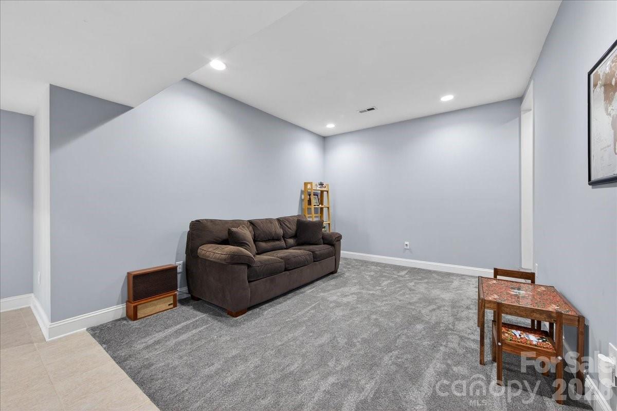 12532 Overlook Mountain Drive Property Photo 34