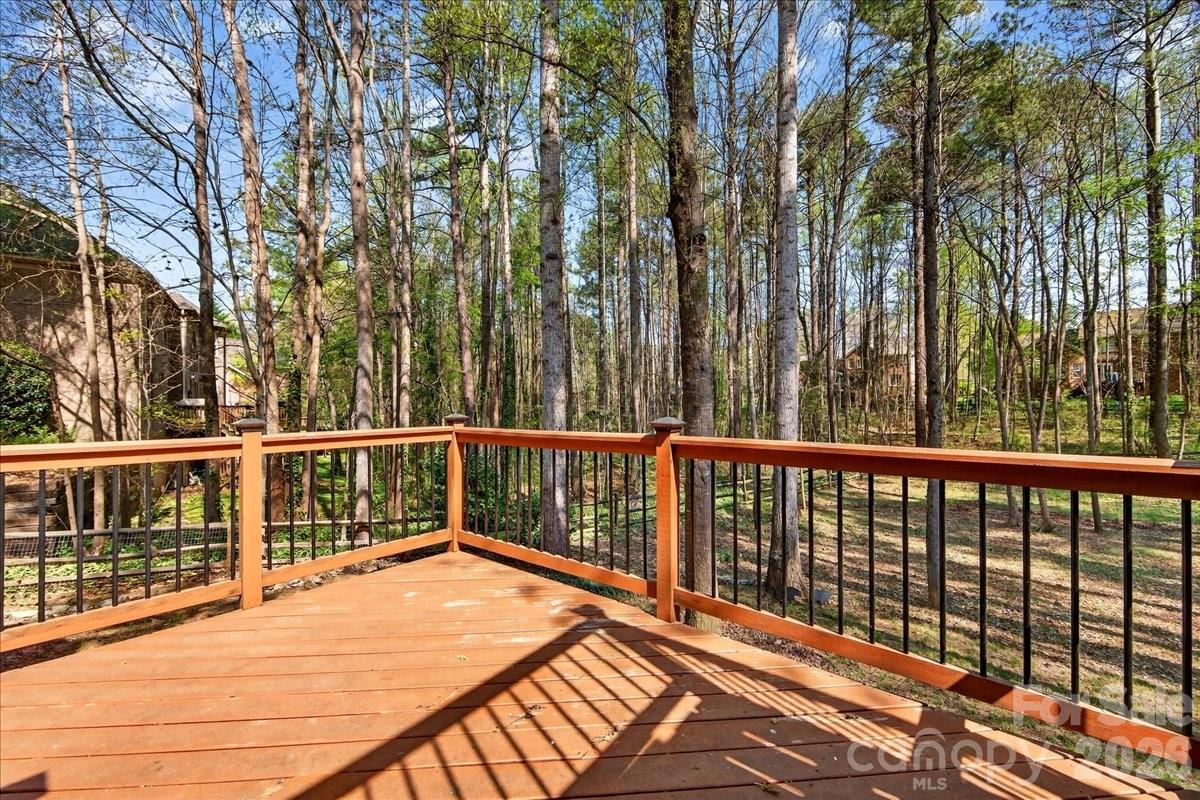 12532 Overlook Mountain Drive Property Photo 44