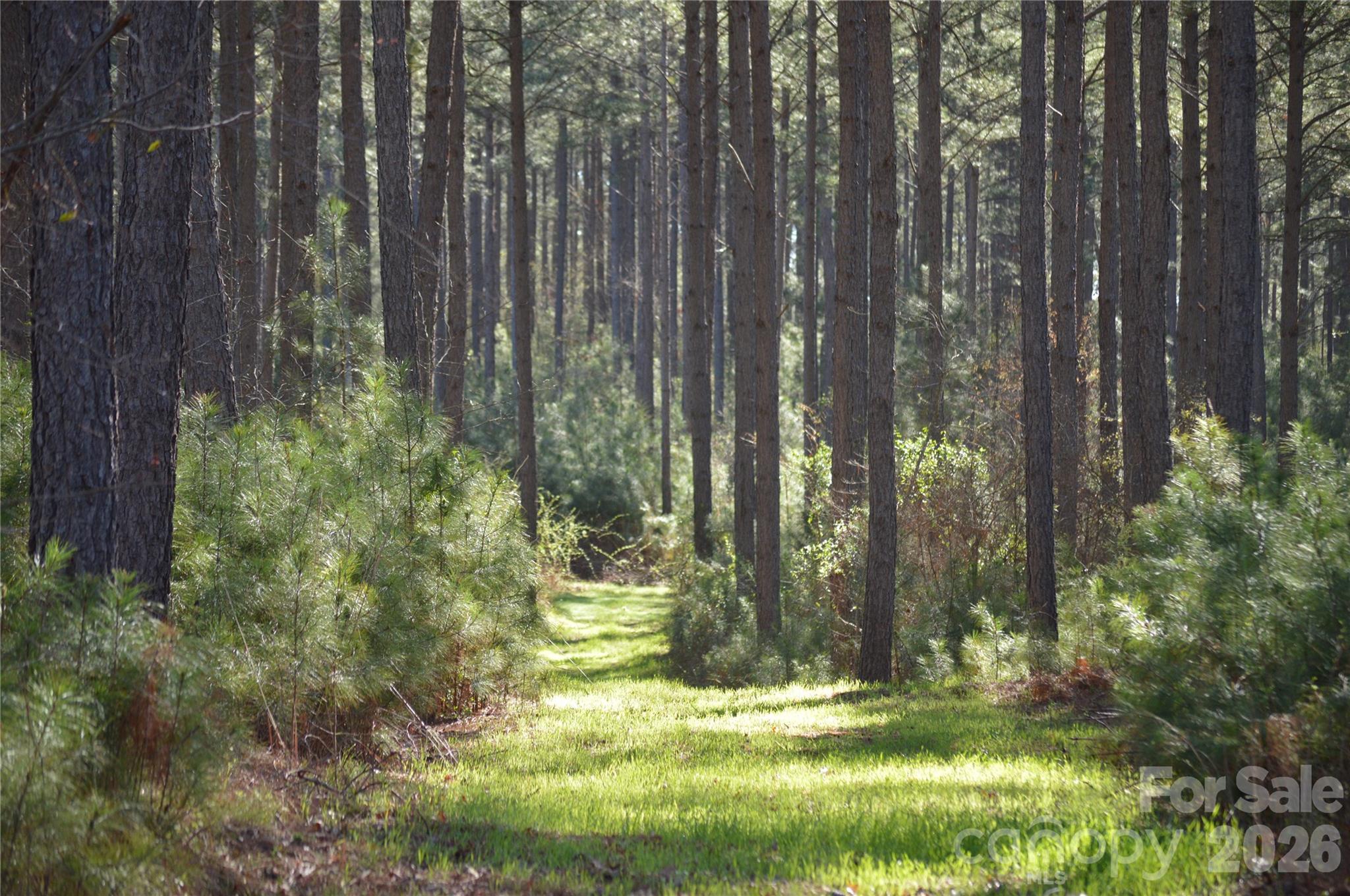 00 Peter Hawk Creek Road 12 Property Photo 1