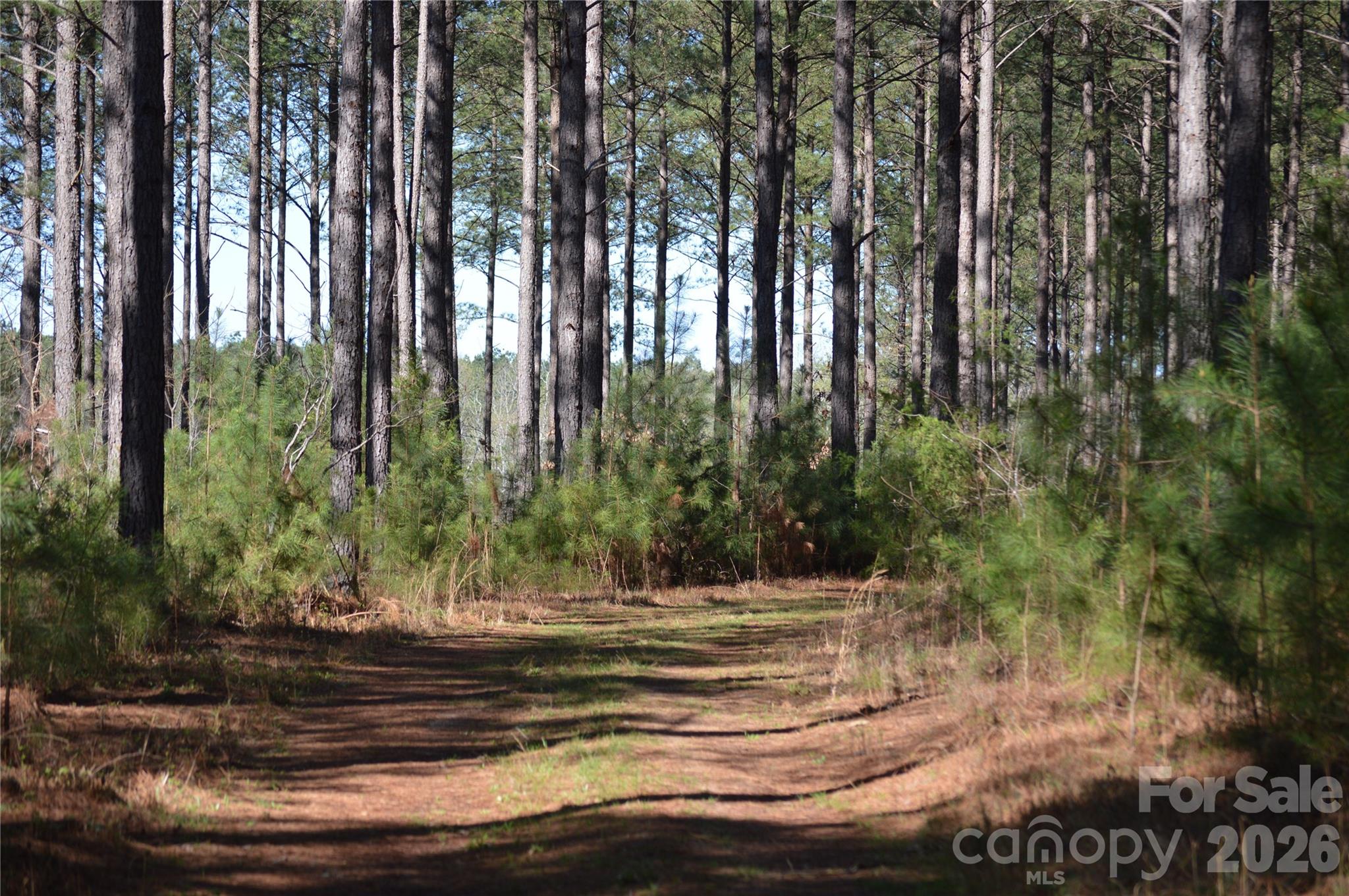 00 Peter Hawk Creek Road 12 Property Photo 3