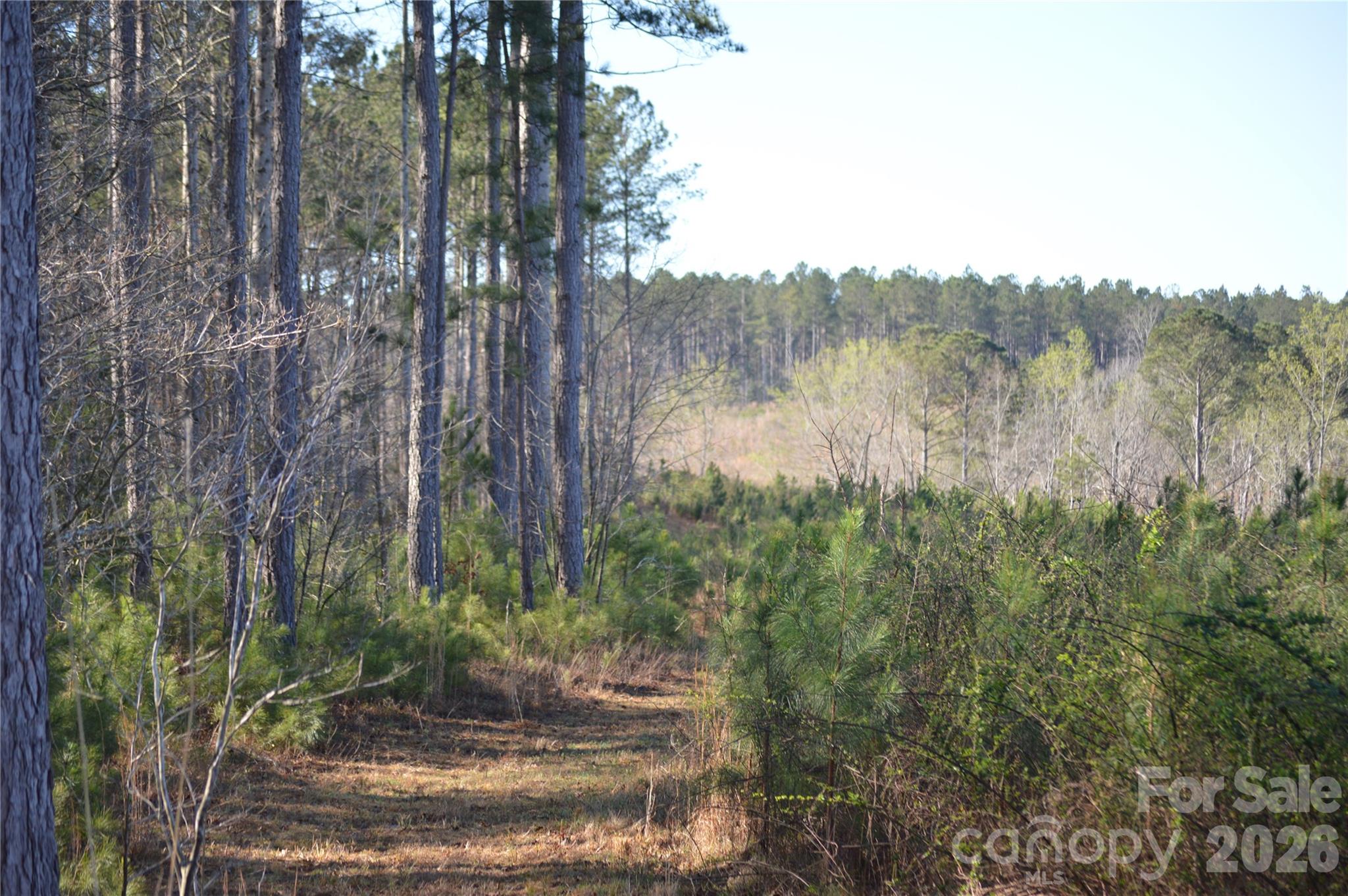 00 Peter Hawk Creek Road 12 Property Photo 7