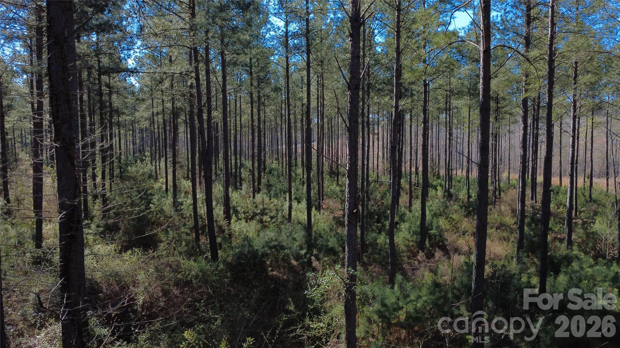 00 Peter Hawk Creek Road 12 Property Photo 10