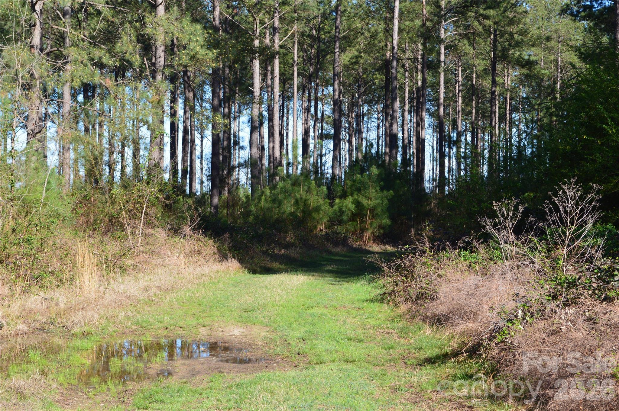 00 Peter Hawk Creek Road 12 Property Photo 11
